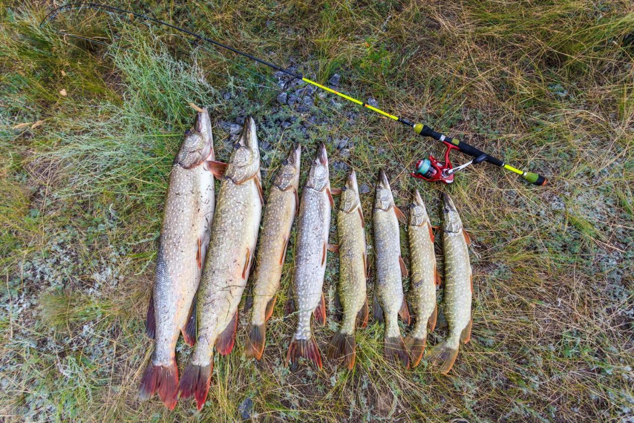 Omeo Clearlake Oaks Glenhaven Zewnętrze zdjęcie