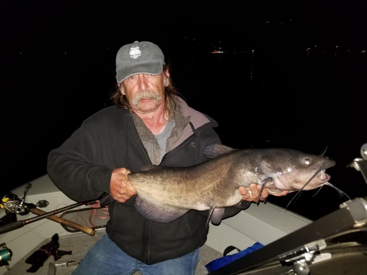 Omeo Clearlake Oaks Glenhaven Zewnętrze zdjęcie