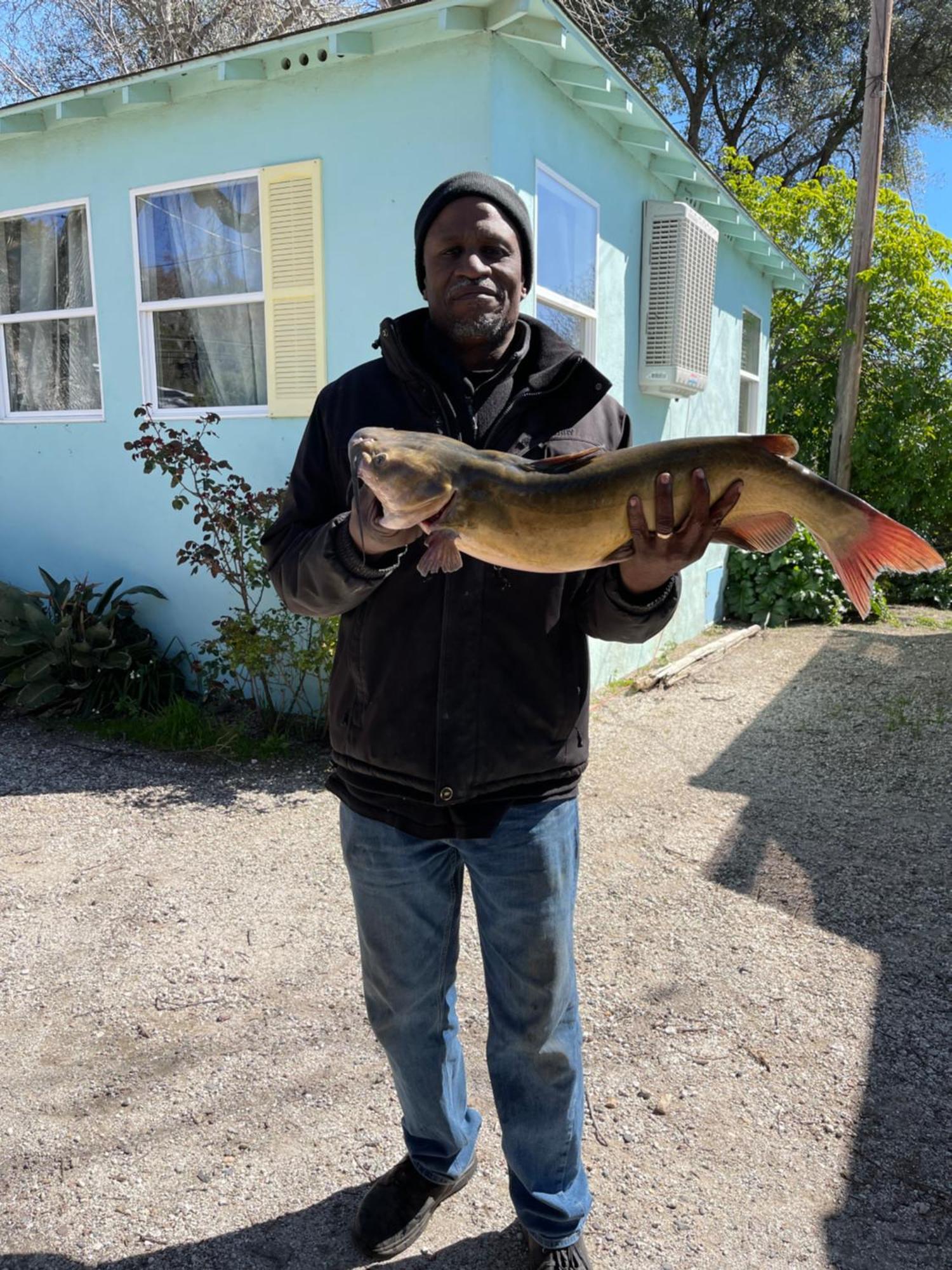 Omeo Clearlake Oaks Glenhaven Zewnętrze zdjęcie